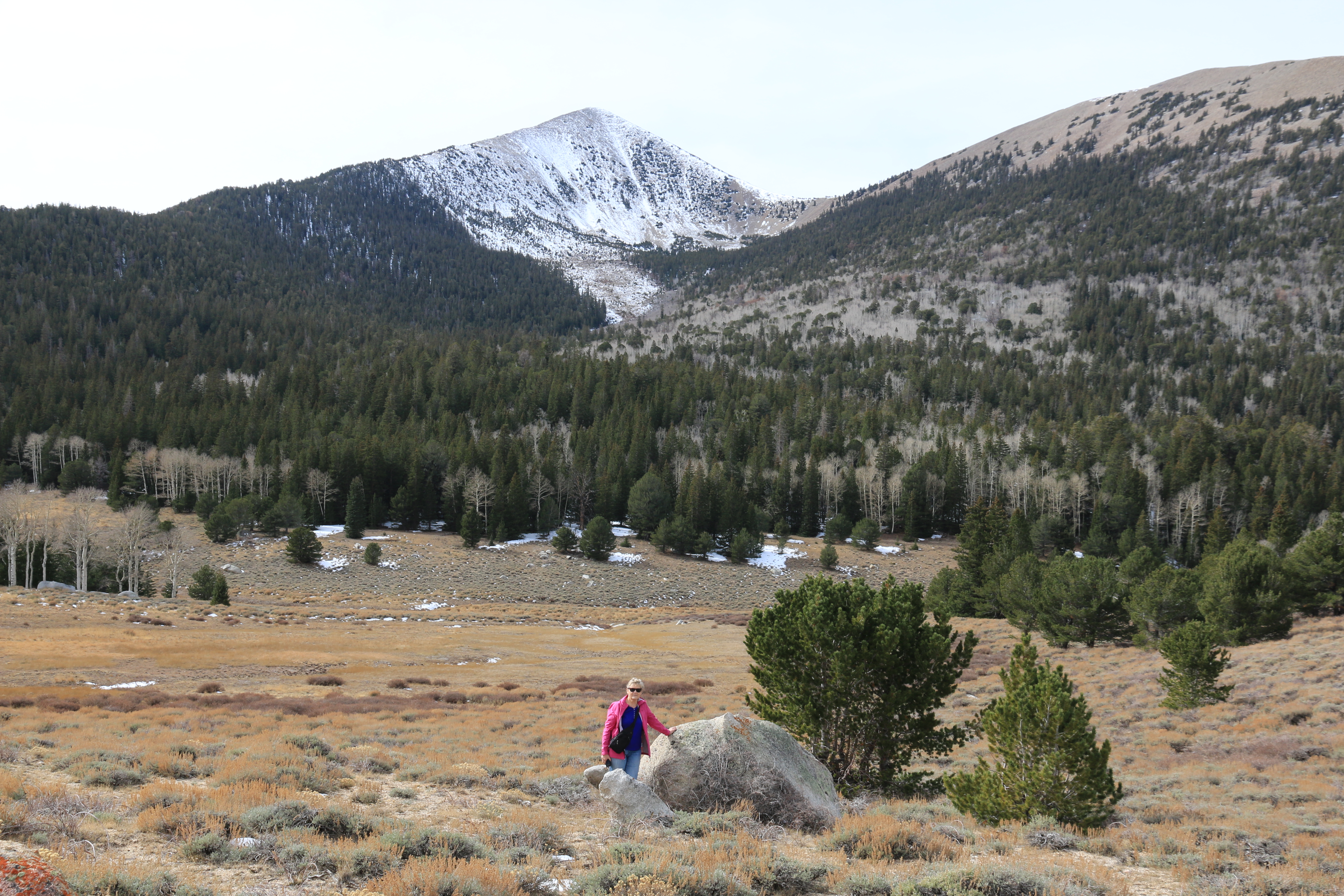 Great Basin NP
